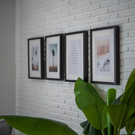 Chada מורו דל חאבלה